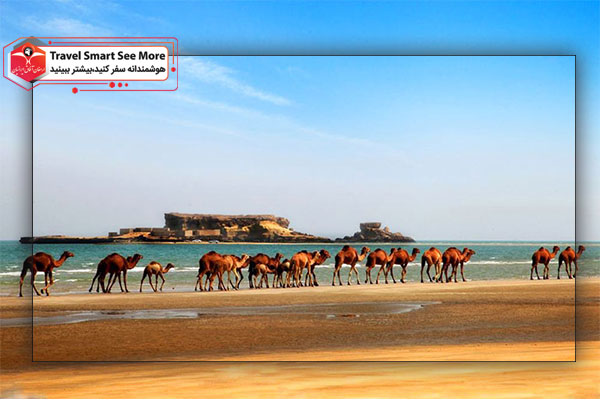 تور قشم