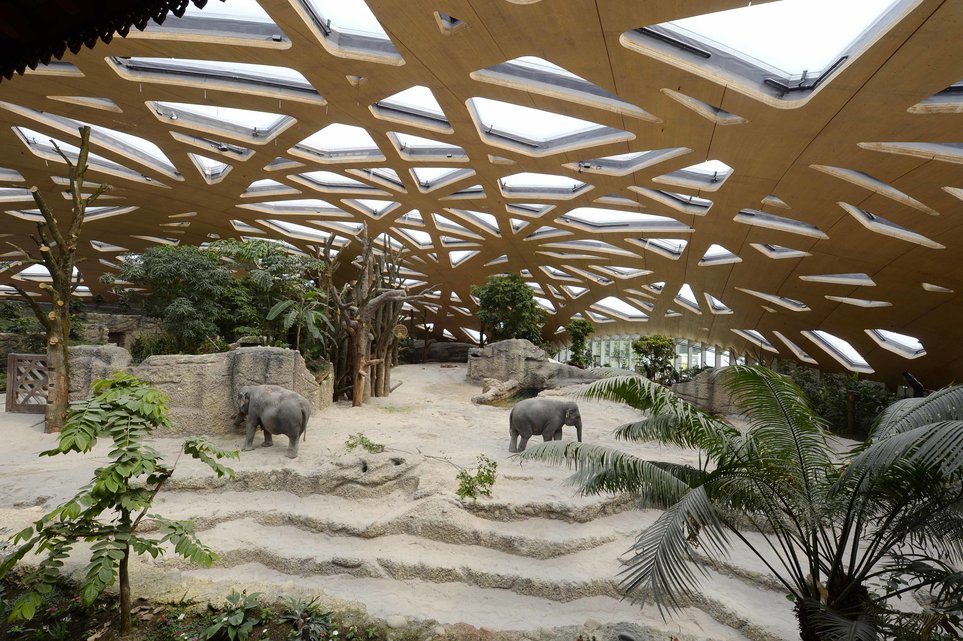Der Elefantenpark Kaeng Krachan im Zürcher Zoo am Mittwoch, 4. Juni 2014. Nach dreijaehriger Bauzeit wird am Samstag 7. Juni der Kaeng Krachan Elefantenpark fuer die Besucher eroeffnet. Das neue Zuhause für die Elefanten erstreckt sich über eine Flaeche von mehr als 11000 Quadratmetern. Das entspricht etwa dem Sechsfachen der bisherigen Anlage.(KEYSTONE/Walter Bieri )