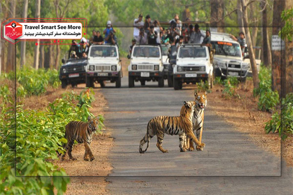 پارک ملی تور سریلانکا
