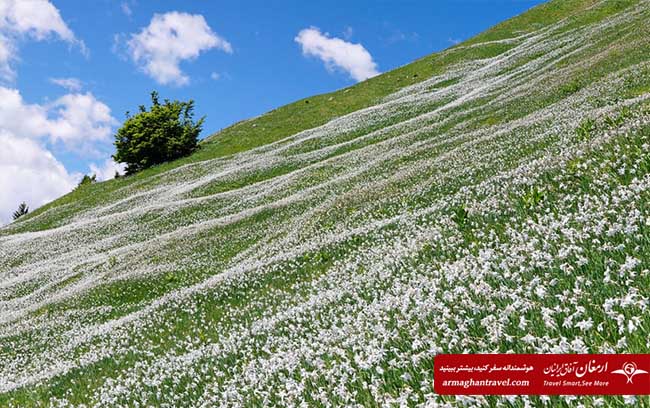 جاذبه های طبیعی اروپا در بهار