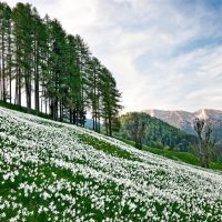 جاذبه های طبیعی اروپا در بهار