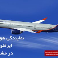 خرید بلیط از نمایندگی هواپیمایی ایرفلوت